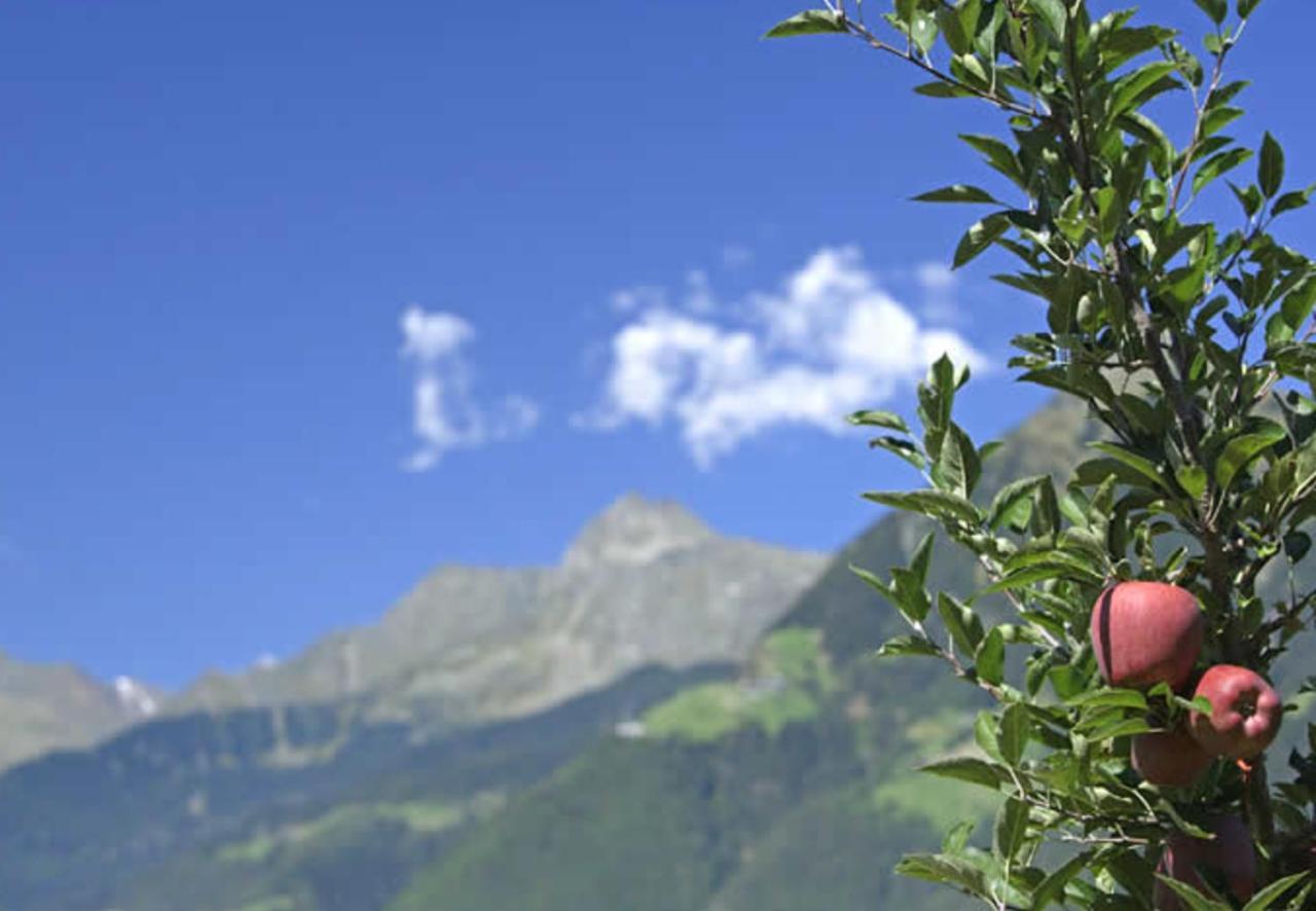 Hahnenkamm Rainegg Διαμέρισμα Schenna Εξωτερικό φωτογραφία