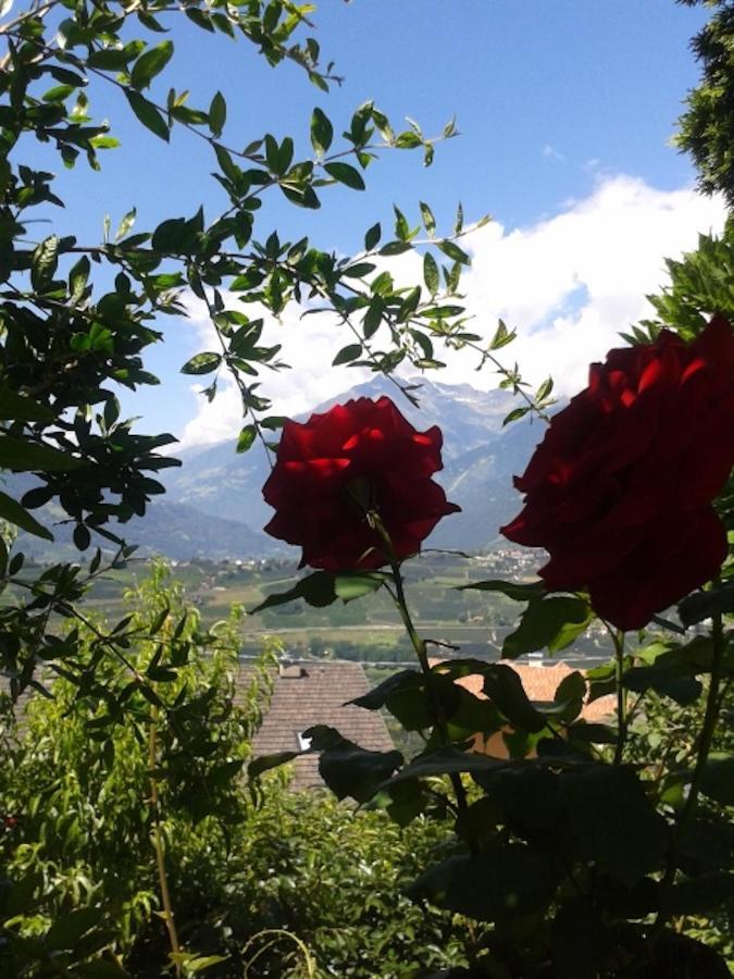 Hahnenkamm Rainegg Διαμέρισμα Schenna Εξωτερικό φωτογραφία